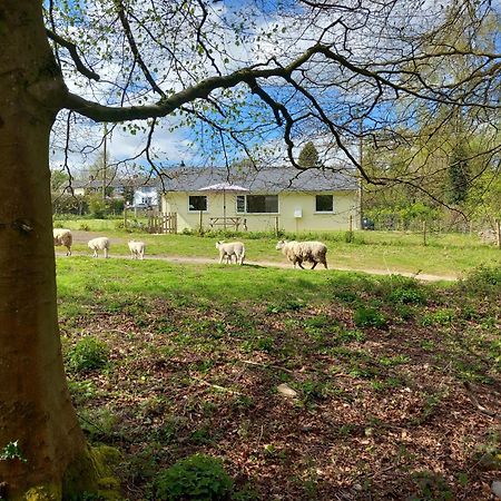 The Bungalow, Forest Of Dean Coleford  Exteriér fotografie