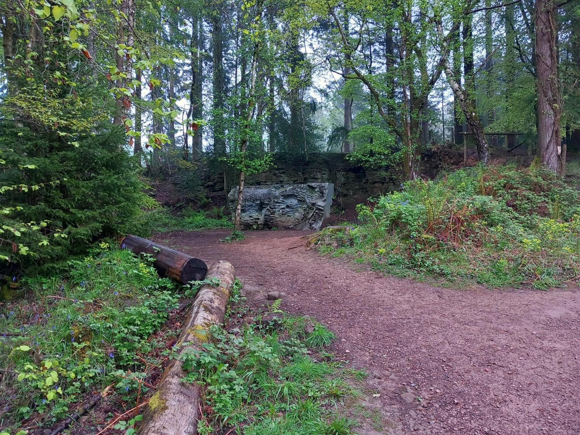 The Bungalow, Forest Of Dean Coleford  Exteriér fotografie