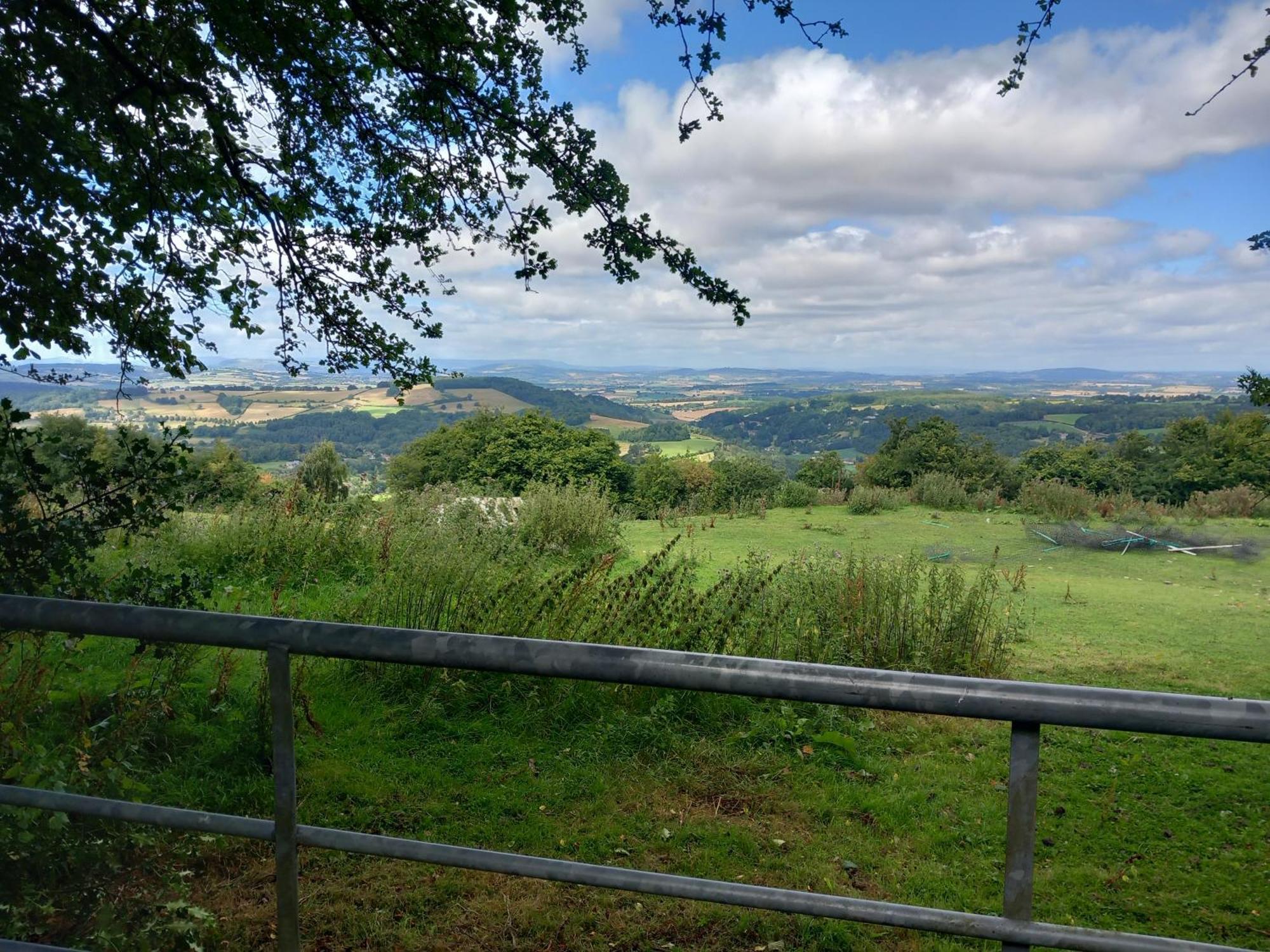 The Bungalow, Forest Of Dean Coleford  Exteriér fotografie