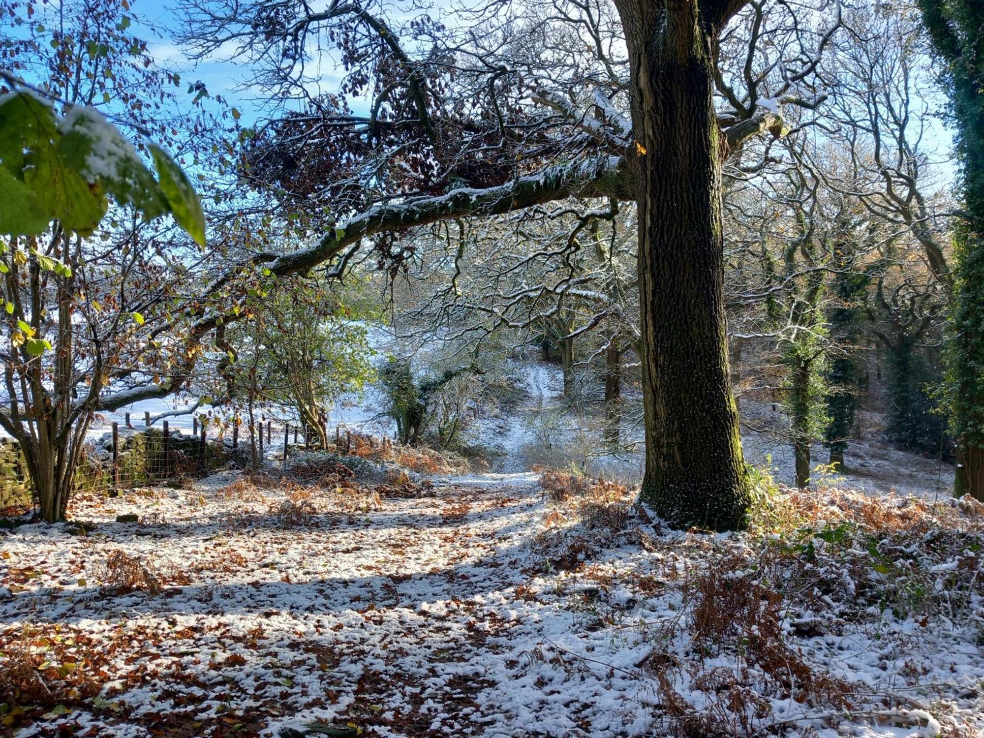 The Bungalow, Forest Of Dean Coleford  Exteriér fotografie
